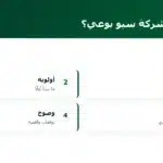 كيف تختار شركة سيو بوعي؟