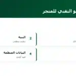 أعمدة السيو التقني للمتجر